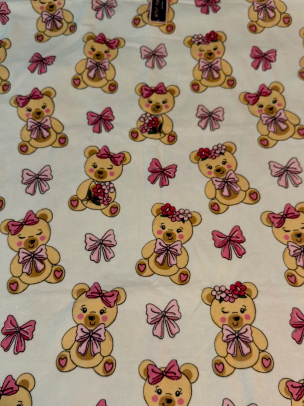 NWT - Betsey Johnson Sweet Teddies Plush Bath Towel 28”x52”
